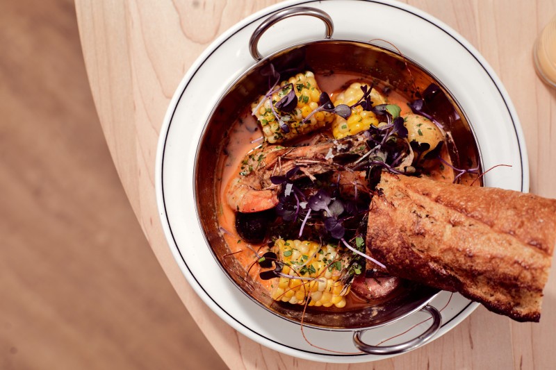 Brother Fox Visit Pensacola