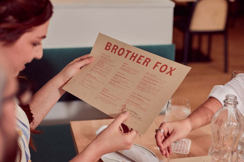 Brother Fox Visit Pensacola