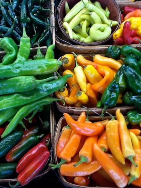 The Farm | Visit Pensacola