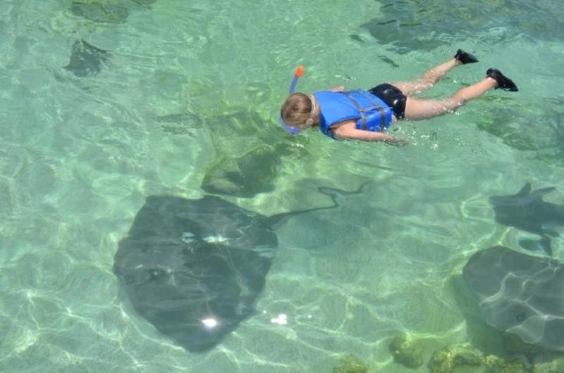 Gulfarium Visit Pensacola