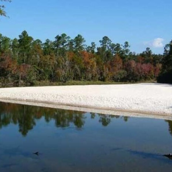 Blackwater Canoe Rentals & Sales, Inc Visit Pensacola