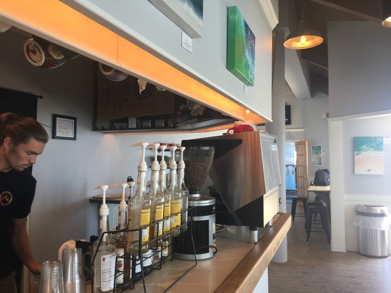 The Drowsy Poet Visit Pensacola