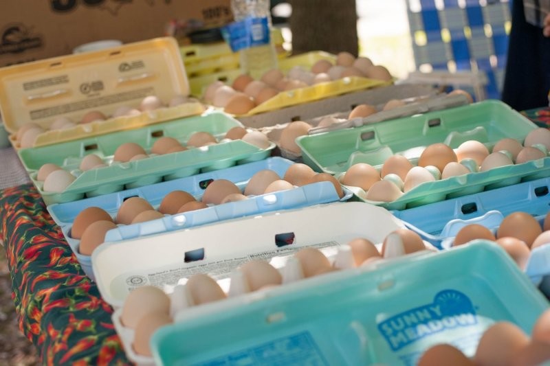 Palafox Market Visit Pensacola