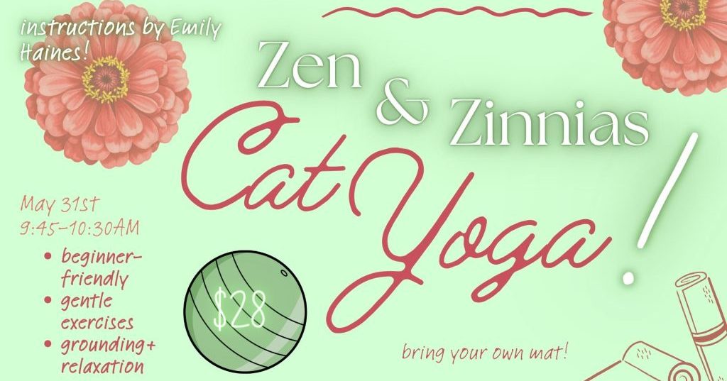 Zen & Zinnias: Cat Yoga