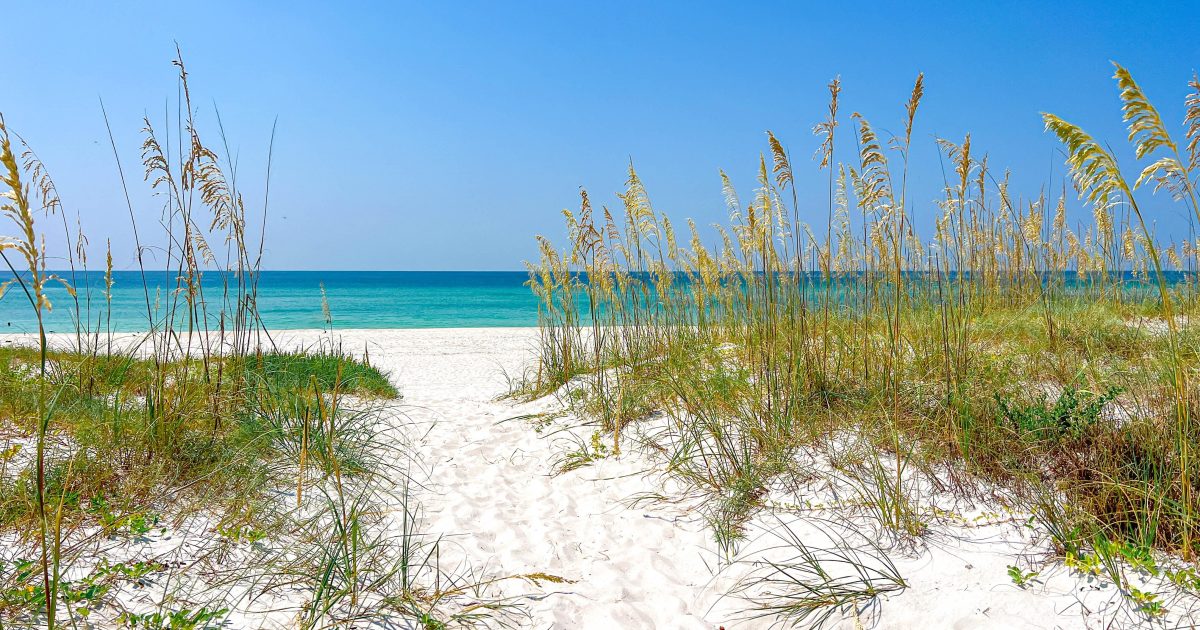 Seasonal Fun in Pensacola