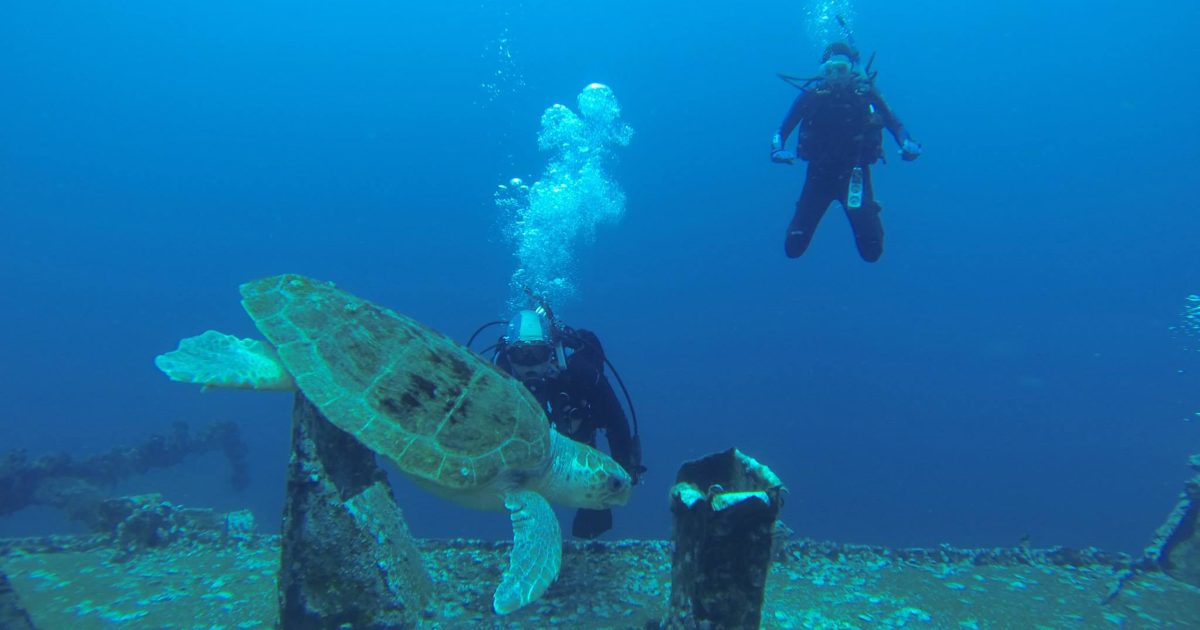 Diving in Pensacola Visit Pensacola