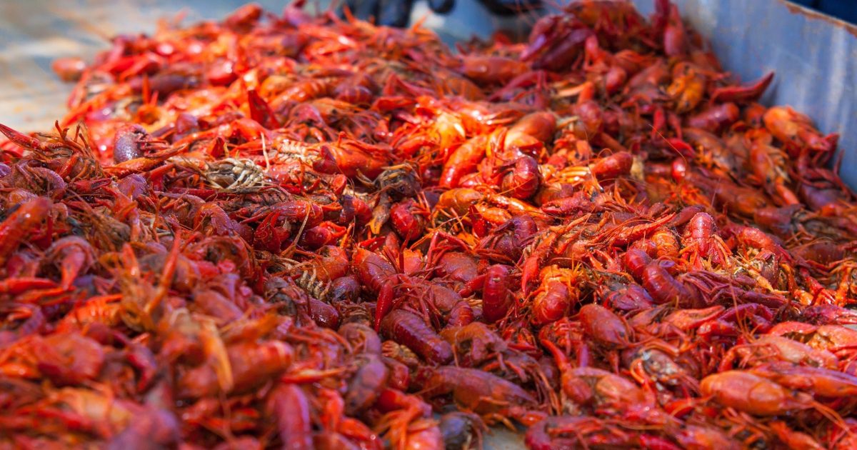 Pensacola Crawfish Festival